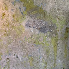 Близнецы (demo)