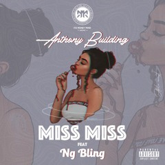 Miss Miss feat Ng Bling