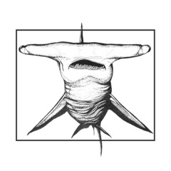 Hammer Head [BUY 1, GET 2 FREE] (Teezo Touchdown Type Beat)