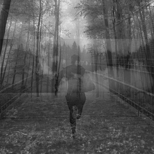 What Keeps You Alive