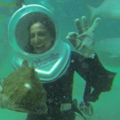Review Special Price Punta Cana Seaquarium Underwater Adventure