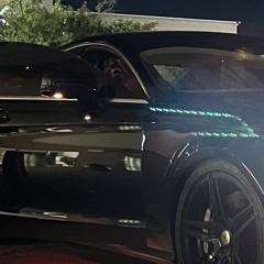 Trickster / Bussin +Hinh