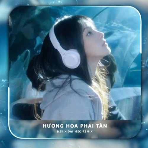 Hương Hoa Phai Tàn (Đại Mèo Remix)