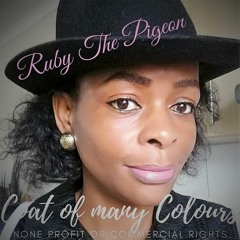 Coat Of Many Colors