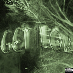 Get Low (prod aash)