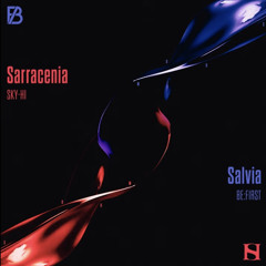 Sarracenia / SKY-HI