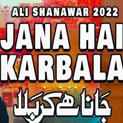 Jana Hai Karbala  Ali Shanawar  2022  1444.mp3
