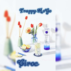 Bottle of Ciroc. feat icymaurice.. Rough