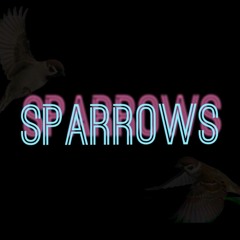 IAKOPO - Sparrows