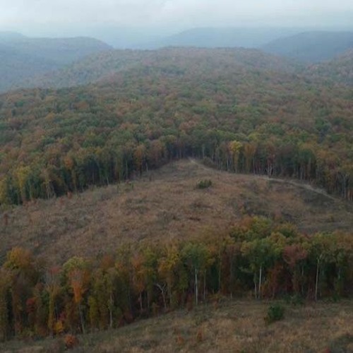 TW 266 - Skinner Mountain, A Biodiversity Hotspot