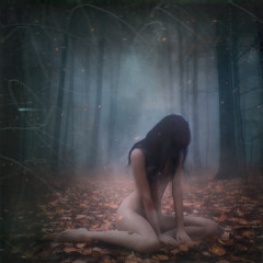 Я испарюсь, убегу, улечу словно птица (N|4 Remix)