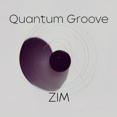 Zim - Quantum Groove