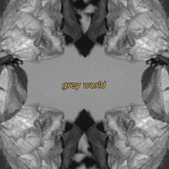 grey world