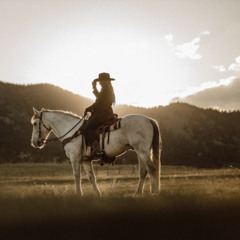 Saddle up the Posse