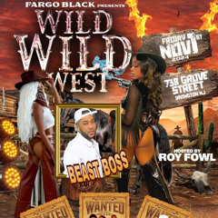 WILD WILD WEST (raw)