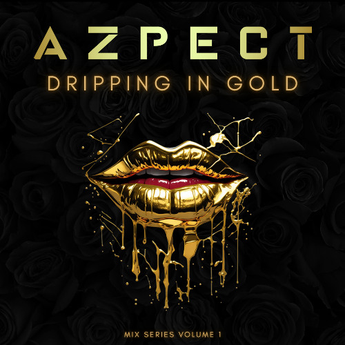 DRIPPING IN GOLD (MIX SERIES VOL.1)
