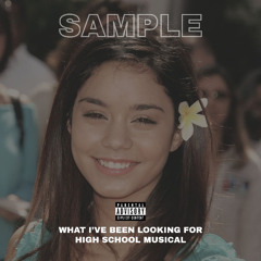 what I've been looking for (hsm sample)