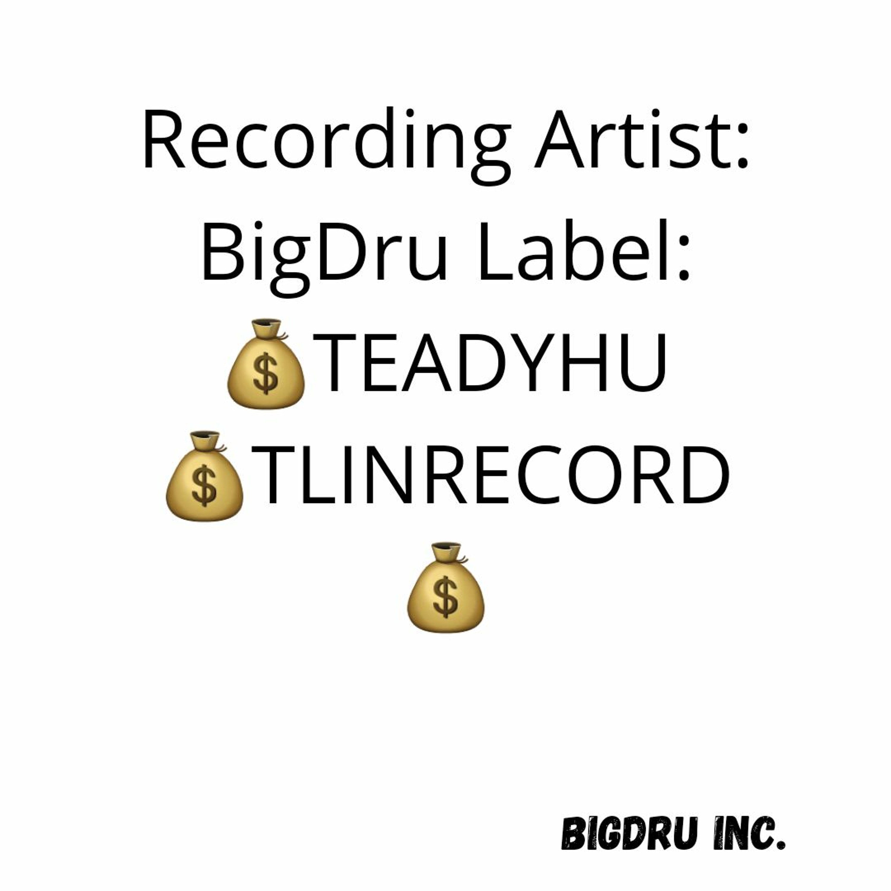 Colorado Indie Rap/Alternative Artist-BigDru