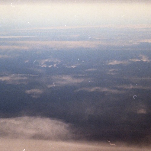 Mykhaylo - Tiger (Taged)