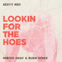 Lookin For The Hoes (It Ain't My Fault) (Mister Gray & Ruen Remix)