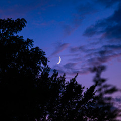 Mystical & Mysterious