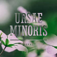 Sepal
