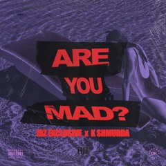 ARE YOU MAD?