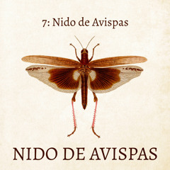 Nido de Avispas 07 - Nido de Avispas