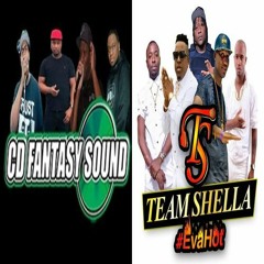CD Fantasy/ Team Shella 1/21