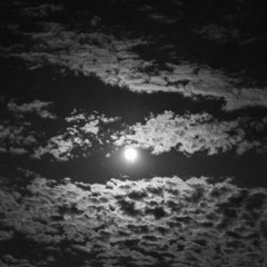 moonlight