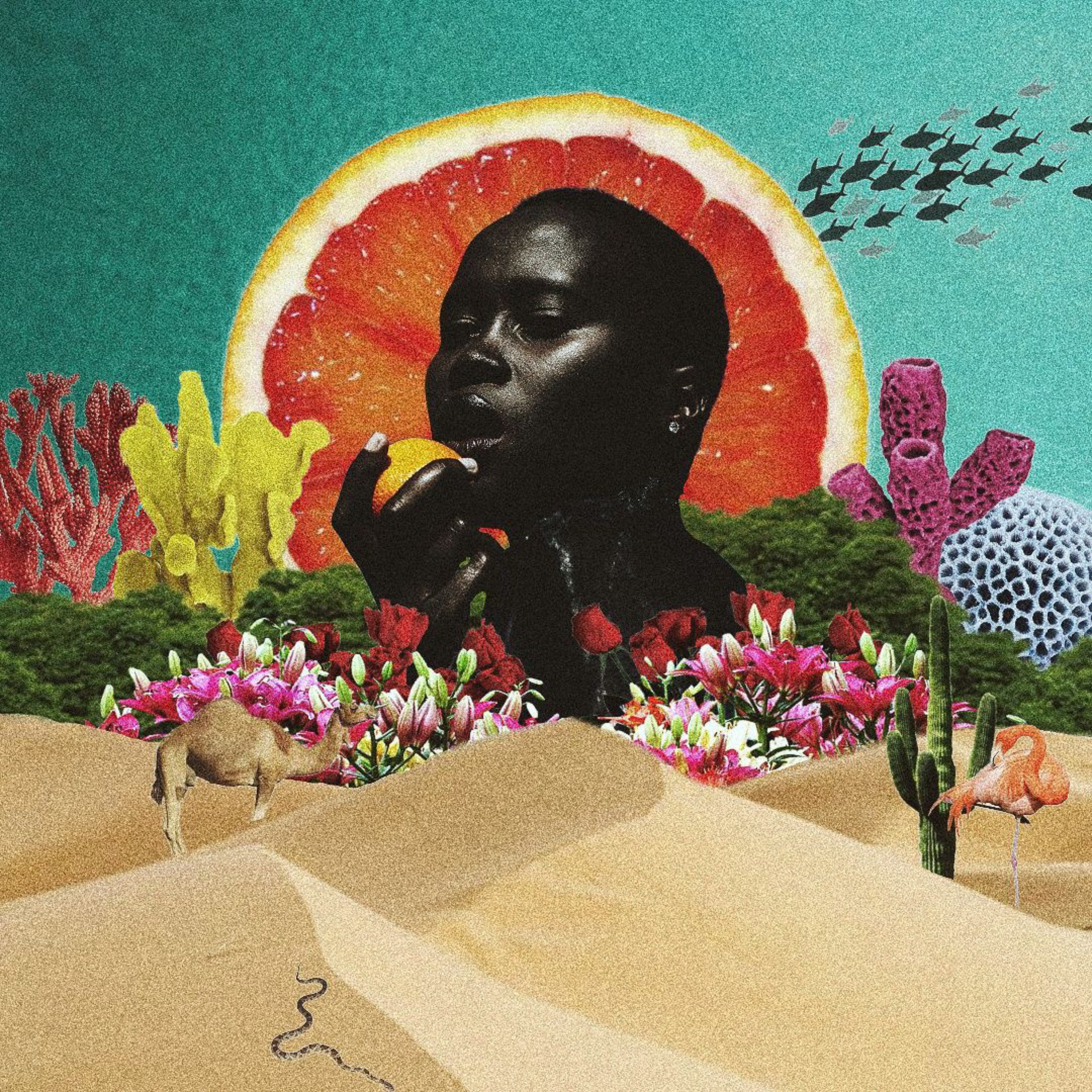 Sounds from the Other Side