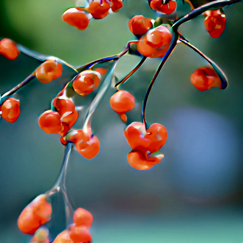 Stream Bittersweet By You10g Listen Online For Free On Soundcloud