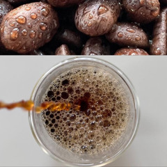 على العز ربوك 2012