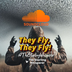They Fly, They Fly!