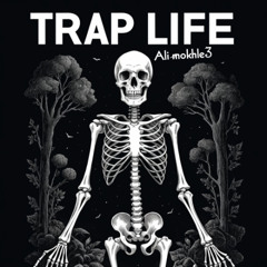 (trap life) dark trap type beat