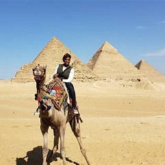Best Private All Inclusive Giza Pyramids Sphinx Memphis Saqqara Lunch Camels Tours Review