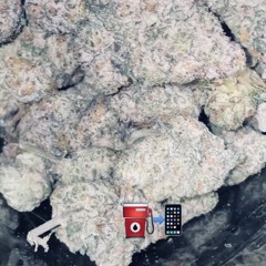 Smoke session - Smokey