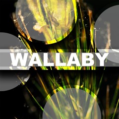 Wallaby