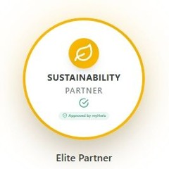Google's sustainability strategy and achievements