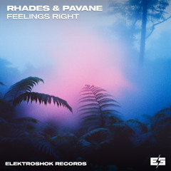 Rhades & Pavane - Feeling Right