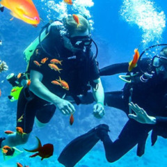 Top Scuba Diving in Andaman Islands for Thrill Seekers
