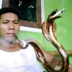 snake (samv2)