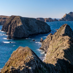 Channel the Sea - Demo