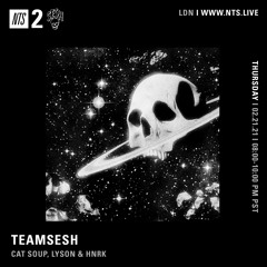 TeamSesh NTS 21st January 2021: cat soup, Lyson & hnrk