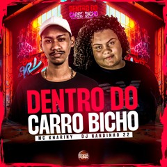 Dentro Do Carro Bicho - Mc Khariny & Dj Nandinho 22