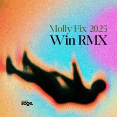 Molly Fix 2.5 - Win RMX