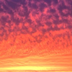 Friendship w/ niT . isSues