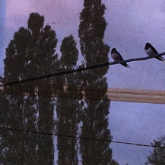 TG - I Will Never Leave You Again, For The Rest Of My Life