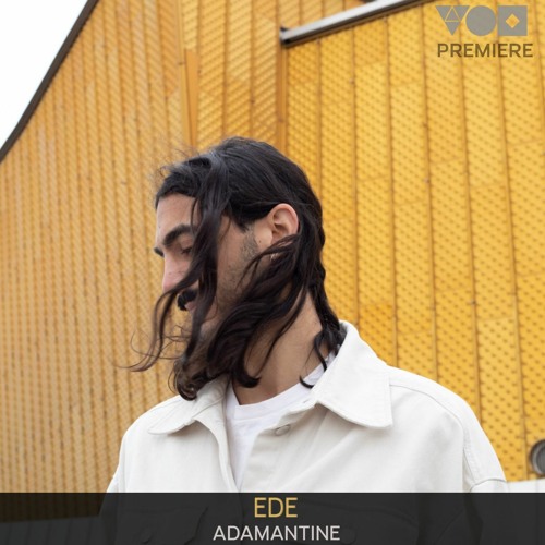 Premiere: Ede - Adamantine (Original Mix) [Sum Over Histories]