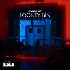 LOONEY BIN